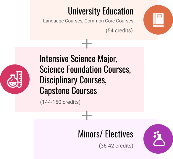 Curriculum Structure for BSc (Intensive Majors):  University Education (Language Courses, Common Core Courses) (54 credits) + Intensive Science Major, Science Foundation Courses, Disciplinary Courses, Capstone Courses (144-150 credits) + Major/Electives (36-42 credits)